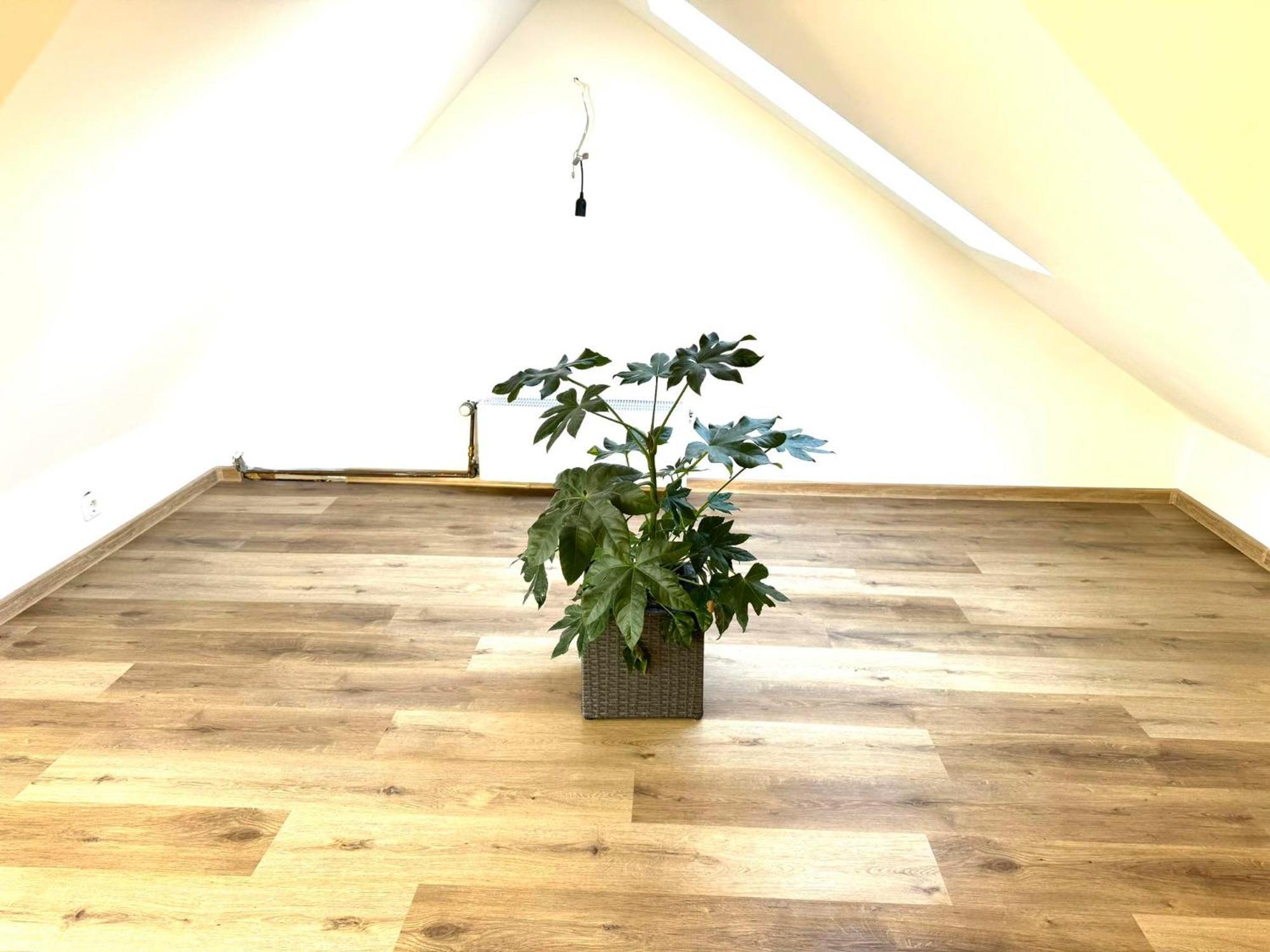 Ferienhaus Dierdorf Ngoại thất bức ảnh